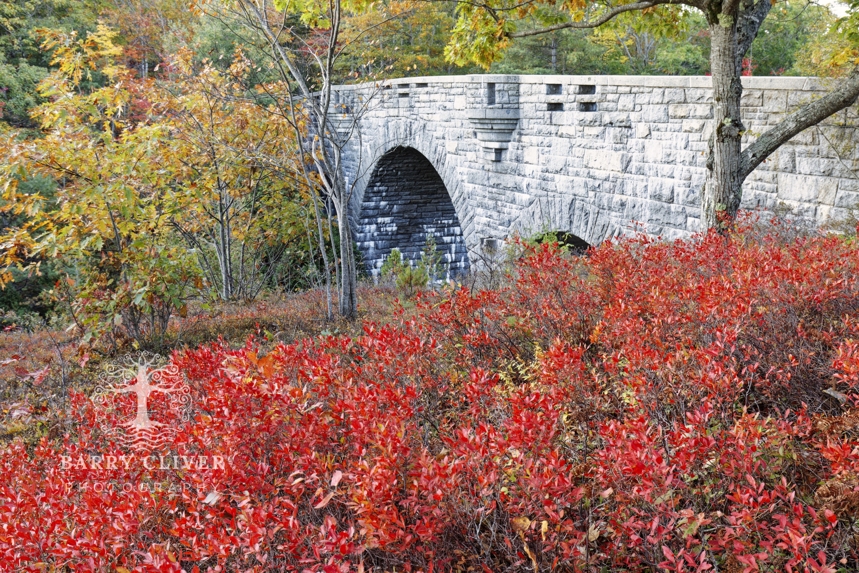 Duck Brook Bridge