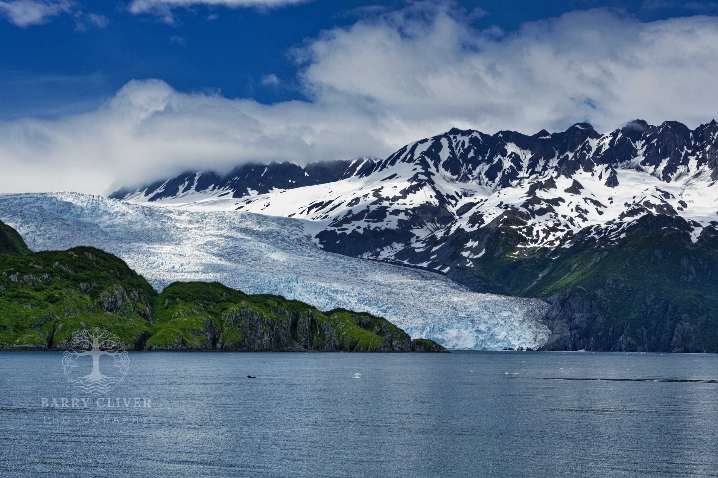 Aialik Glacier