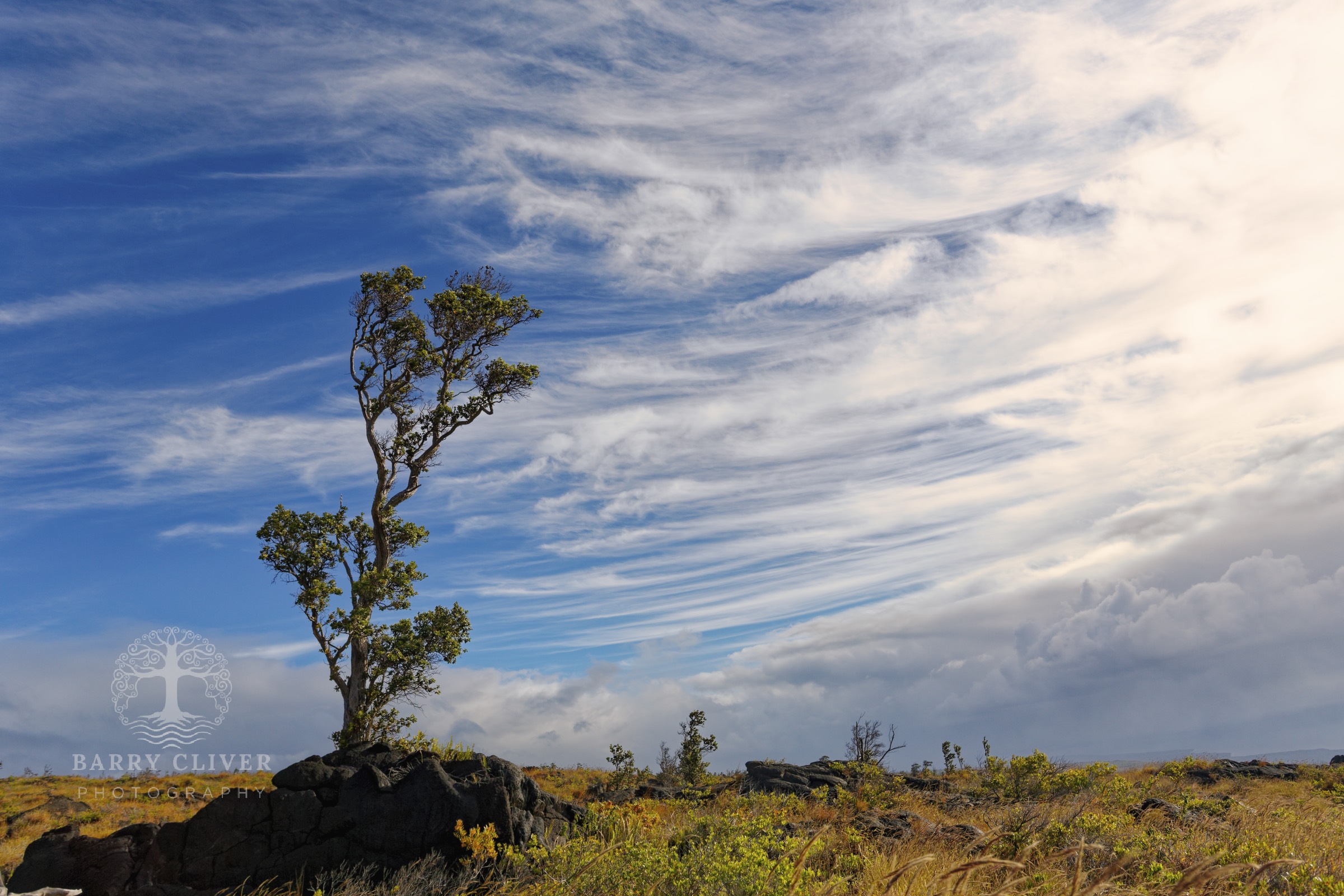 Volcanoes National Park