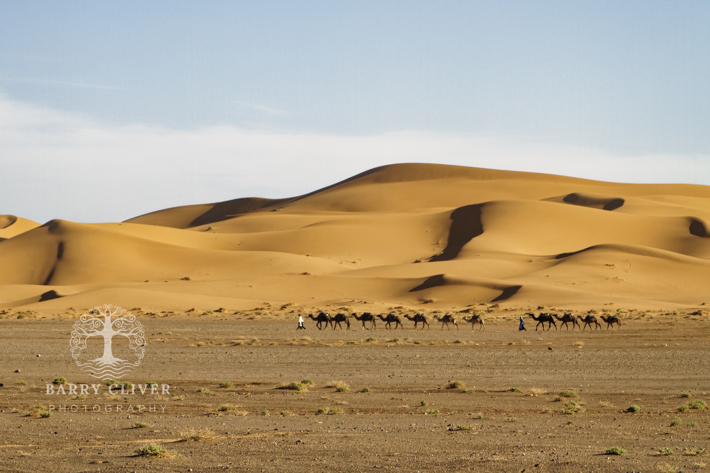 Sahara Caravan