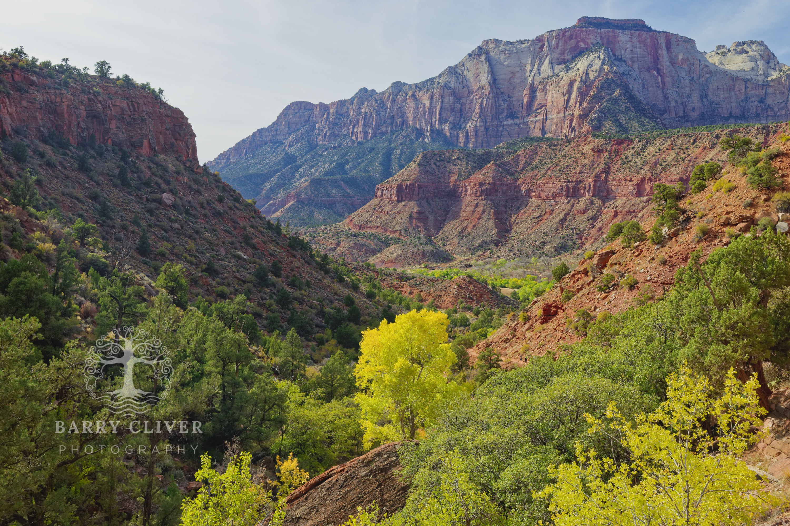 Zion NP